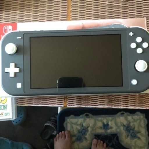 美品 Nintendo Switchライトとダビスタ 3