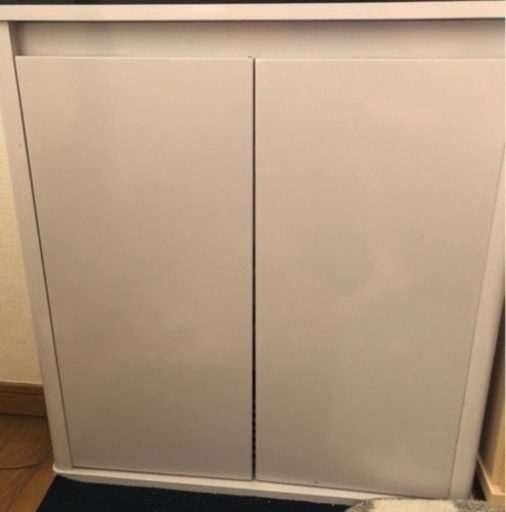 引き取り限定】ガラス水槽 水槽台 スネークヘッド チャンナプルクラ