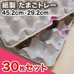 【赤】紙製卵トレー 45.5×29.5cm 30枚セット 【No...