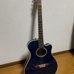 エレキアコースティックギター Mavis mx-220