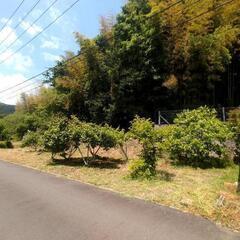 真庭市赤野　貸地　資材置場、駐車場、菜園など