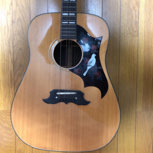 Pearl DOVE ジャパンヴィンテージ アコースティックギター　ケース付き 激レア！激鳴り！Pearl DOVE ジャパンヴィンテージ