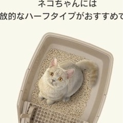 猫トイレ＋猫砂付き