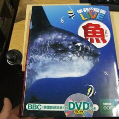 【DVD付】魚 (学研の図鑑LIVE) 3歳~小学生向け 図鑑 