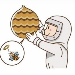 🐝【富山県全域】ハチ・ハチの巣駆除します！