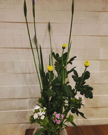 好評 生け花教室 お花と場所代のみ リンクル 大阪の華道の生徒募集 教室 スクールの広告掲示板 ジモティー 好評 生け花教室 お花と場所代のみ リンクル 大阪の華道の生徒募集 教室 スクールの広告掲示板 ジモティー
