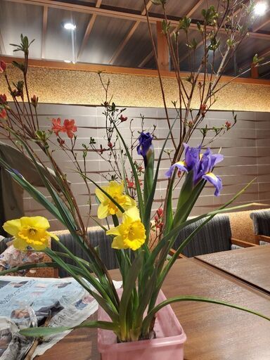 好評 生け花教室 お花と場所代のみ リンクル 大阪の華道の生徒募集 教室 スクールの広告掲示板 ジモティー