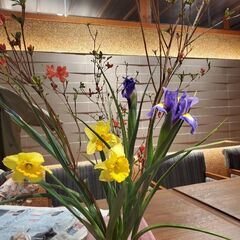 好評 生け花教室 お花と場所代のみ リンクル 大阪の華道の生徒募集 教室 スクールの広告掲示板 ジモティー 好評 生け花教室 お花と場所代のみ リンクル 大阪の華道の生徒募集 教室 スクールの広告掲示板 ジモティー