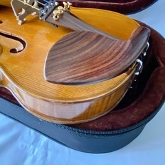 バイオリン色々セット