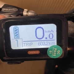 ブロンクスバギー　オプションヘッドライト付‼️電動自転車‼️