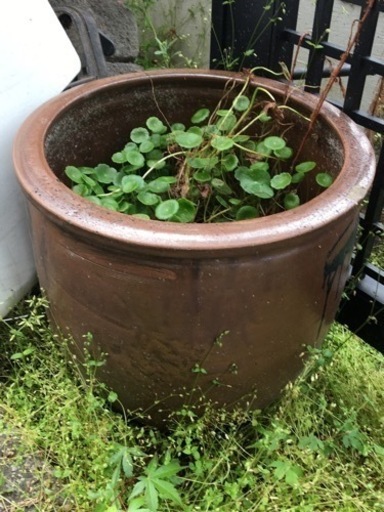 瓶壺メダカ用植木鉢カバーなどに かっぺ 屋島の家具の中古あげます 譲ります ジモティーで不用品の処分