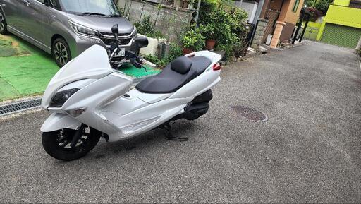SG20J　後期　ローダウン　マジェ250