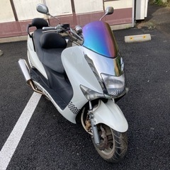 ヤマハ マジェスティー125cc 5CA型 早い者勝ち 全国発送...