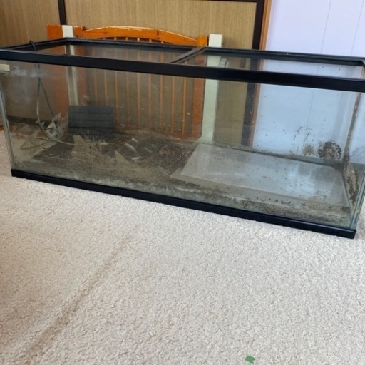 120㌢水槽　決まりました‼️