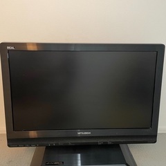 三菱 REAL LCD-22BLR500 ブルーレイ&HDD内蔵テレビ