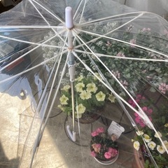 傘3本100円