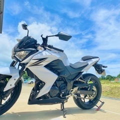 【ネット決済】Kawasaki z250