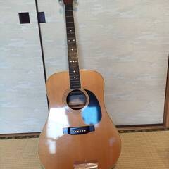 アコースティック ギター Tokai  CE-200  Cat'...