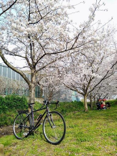 引取希望千葉柏）グラベルロードカスタム ブリヂストン アンカーCX900