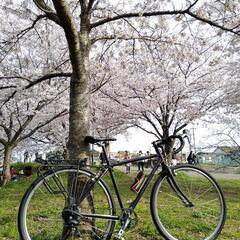 引取希望千葉柏）グラベルロードカスタム ブリヂストン アンカーCX900