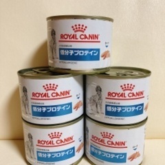 【ネット決済】ロイヤルカナン　低分子プロテイン　200g缶　5個セット