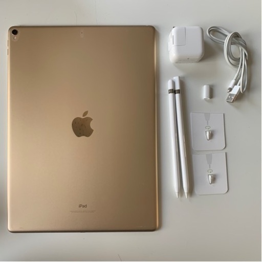 【値下げ】iPad pro 13インチ　ペン2本、替え芯、充電気、ケーブル付き