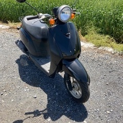 ホンダ　トゥデイ　AF61  原付　バイク　50cc  埼玉　上尾　