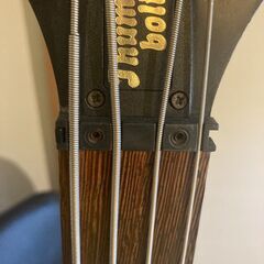 warwick thumb bass bolt onソフトケース・ロックピン付