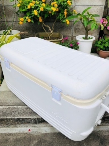 その他 Igloo cooler box