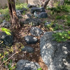 庭木　庭石　松　紅葉他