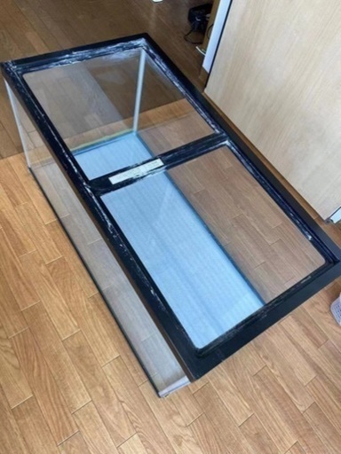 ショップ 養魚セット 