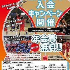 HOOP7バスケスクール入会キャンペーン終了迫る！！