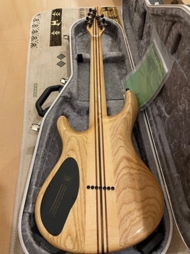 Mayones(メイワンズ) 節約 Regius7 BKP 7弦ギター 