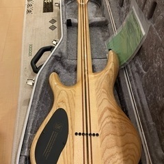 Mayones(メイワンズ) Regius7 BKP ７弦ギター