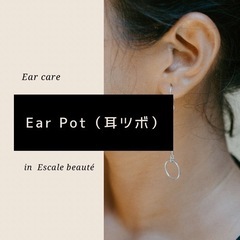 【資格】Ear Pot（耳ツボ）セラピー通信講座
