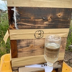 【ネット決済・配送可】日本蜜蜂　③ 重箱2段巣門枠1段の巣箱込み