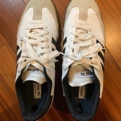 【adidas golf】スパイクシューズ