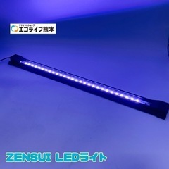 ZENSUI LEDライト【C4-513】