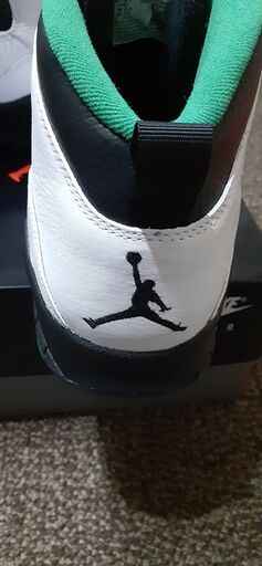 NIKE AirJordan10 retro