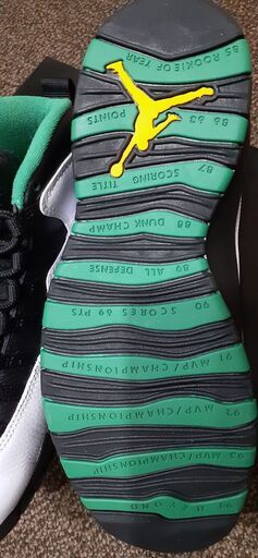 NIKE AirJordan10 retro
