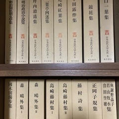 日本近代文学体系