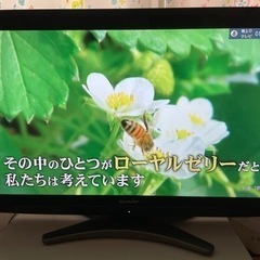 SHARP 32型テレビ