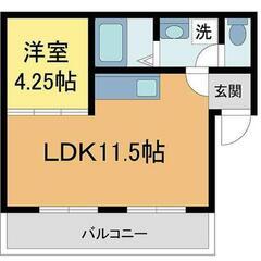 🐶築浅🐶大家直!!初期費用前家賃のみ!!ゆとりの1LDK🐶