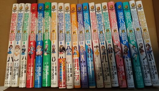 【配送料込み】「涼宮ハルヒの憂鬱」全２０巻＆「涼宮ハルヒの戸惑い」PS2ソフト＆公式ファンブック
