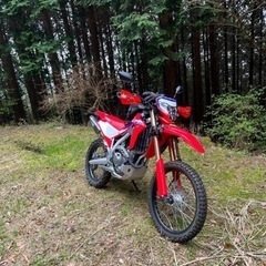 平日　オフロードバイクで林道行ける方を募集しています。1の画像