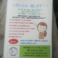 ０円‼️お見積‼️伐採、草刈り、おまかせ‼️