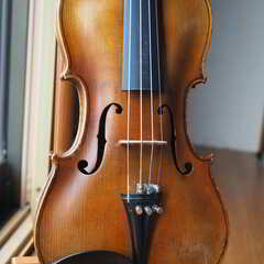 【選定分類：I-④ コンテムポラリー・マスターメード・伊太利】Violin By ZANOLI FRANCESCO 1980●修復・セッティング・調整未済but最近まで現役使用●試奏可能