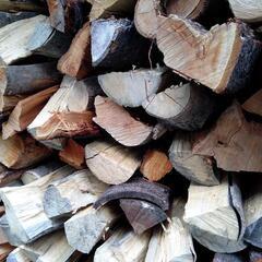 セール！【今年の冬用に！】乾燥薪 広葉樹（静岡県西部 浜松/磐田/袋井