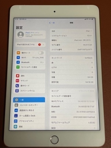 iPad mini 第五世代　64gb SIMフリー