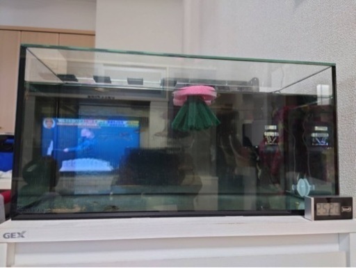 GEX水槽＆KOTOBUKI水槽と水槽台 GEX水槽＆KOTOBUKI水槽と水槽台